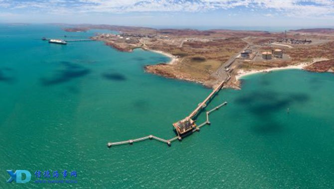 新星闪耀！摩根·罗杰斯破门获名宿称赞，或成三狮军团中场核心